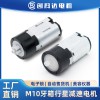 m10减速电机10mm塑胶齿轮电子锁牙箱马达洁面仪电动粉扑马达motor